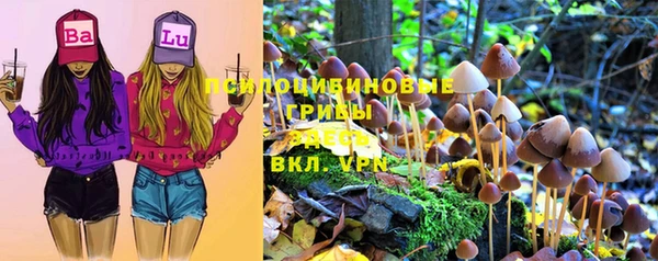 прущий лед Гусев