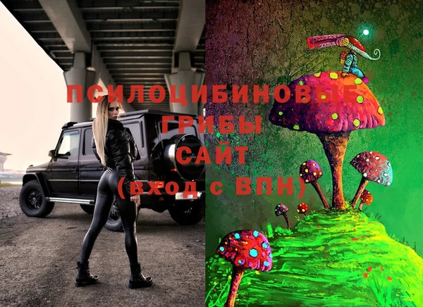 прущий лед Гусев
