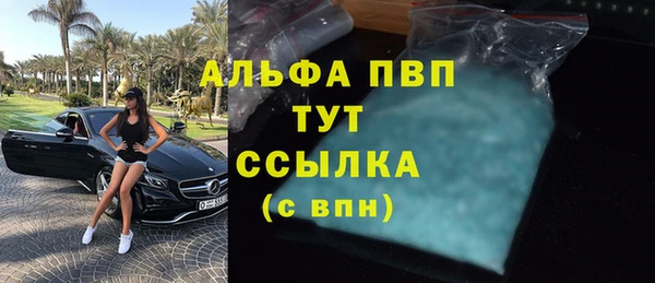 прущий лед Гусев