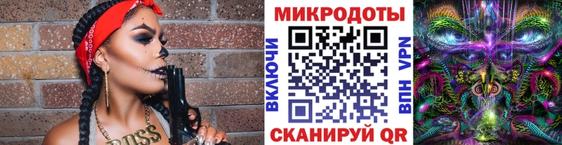 Купить  Тимашёвск  Галлюциногенные грибы Psilocybine cubensis 