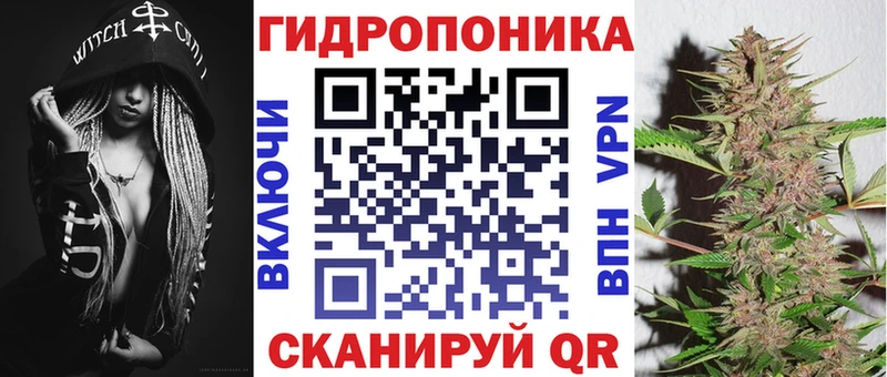 Конопля сатива Тимашёвск